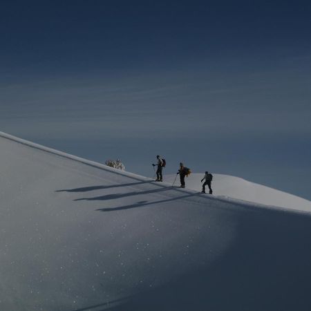 Rifugio Il Ginepro Dell'Etna Villa Linguaglossa Dış mekan fotoğraf